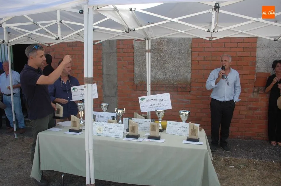 Foto 8 - La feria y concurso de ganado de Vitigudino se queda en medio centenar de cabezas  
