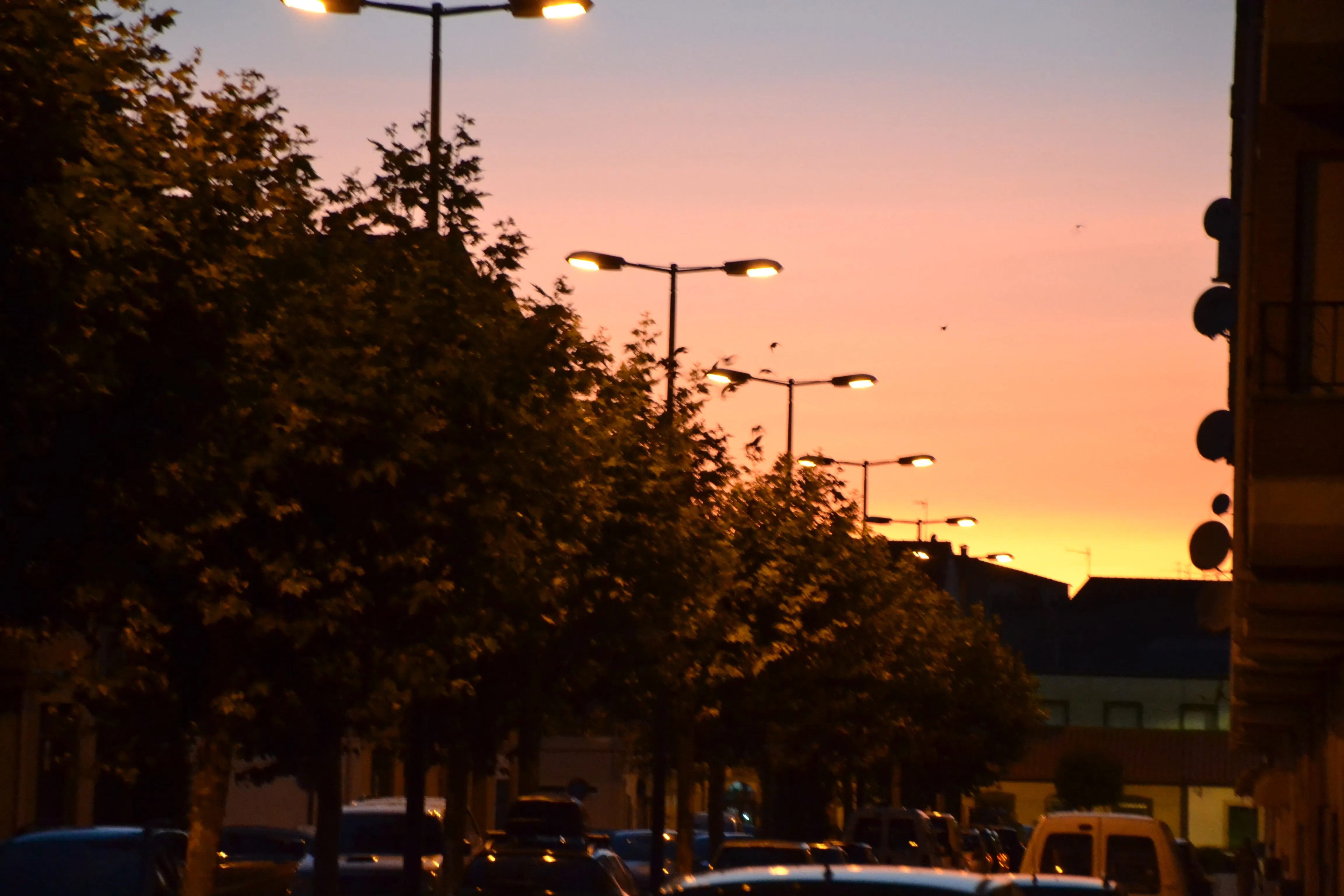 Los vecinos de García Carraffa exigen soluciones para que acabe el suplicio que les provocan los...