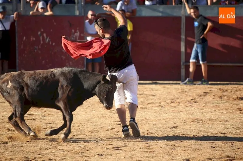 Foto 8 - Las vaquillas amenizan la tarde festiva en Carbajosa
