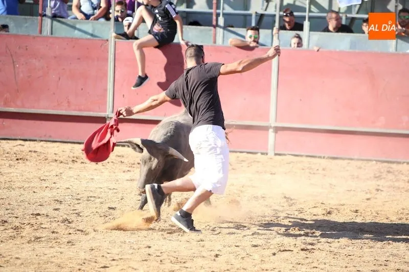 Un joven realiza un corte a la vaquilla durante la capea / Víctor Sánchez
