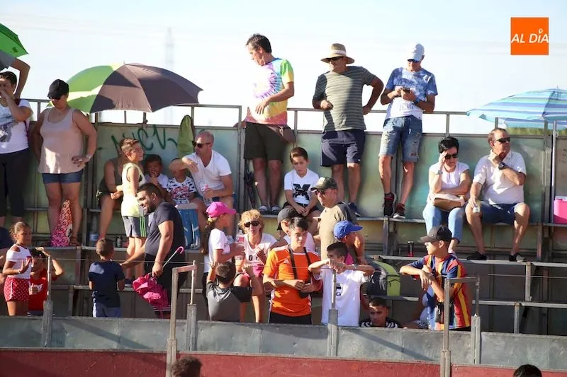 Foto 6 - Las vaquillas amenizan la tarde festiva en Carbajosa