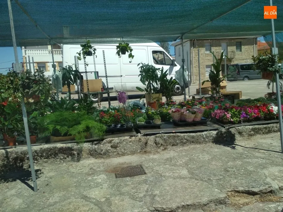 Foto 4 - Buena acogida del mercadillo especial del 15 de agosto en Trabanca  