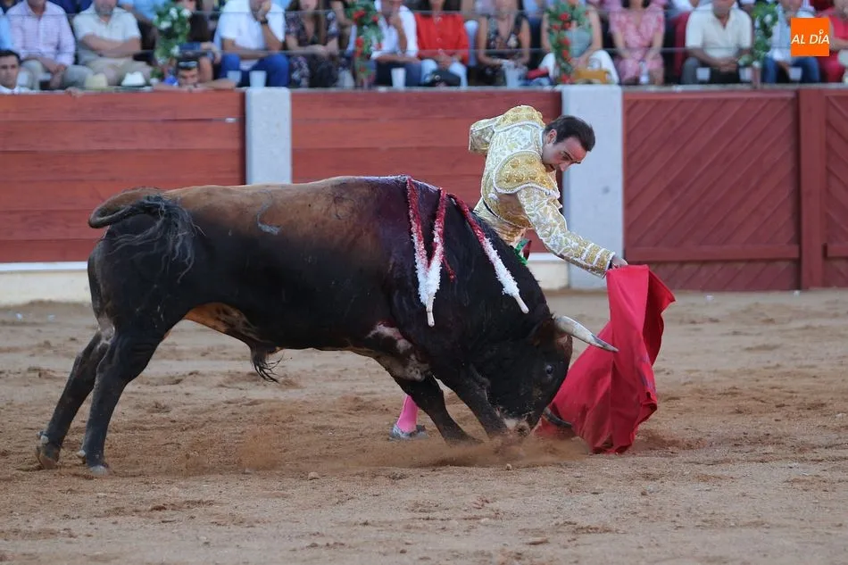 Foto 11 - Perera y El Capea salen a hombros en la corrida de Guijuelo