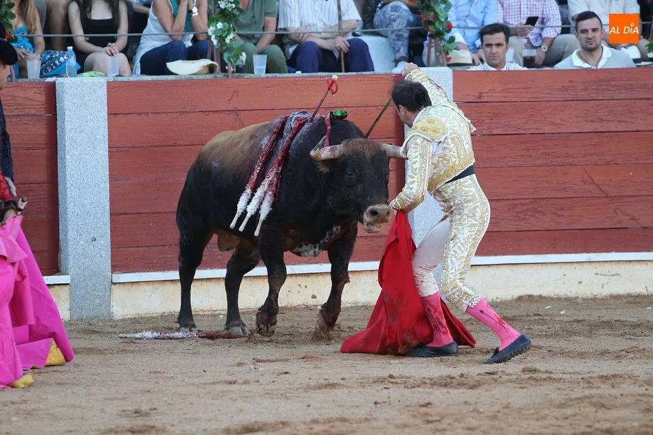 Foto 10 - Perera y El Capea salen a hombros en la corrida de Guijuelo