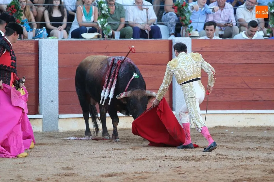 Foto 8 - Perera y El Capea salen a hombros en la corrida de Guijuelo