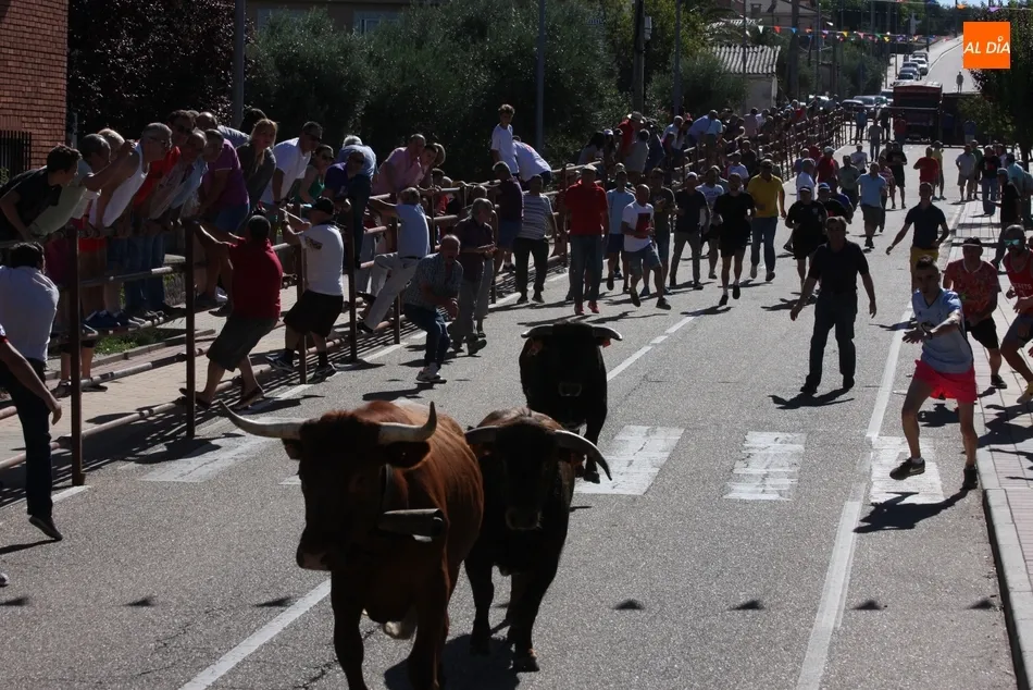 Foto 9 - El encierro de Ignacio L&oacute;pez Chaves llena de emoci&oacute;n las calles de Villarino  