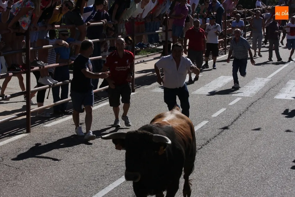 Foto 7 - El encierro de Ignacio L&oacute;pez Chaves llena de emoci&oacute;n las calles de Villarino  