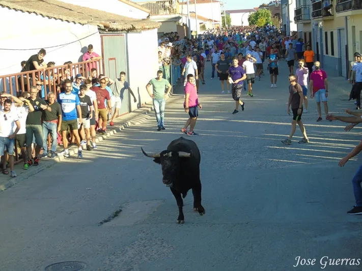 Foto 8 - Adrenalina y &lsquo;llenazo&rsquo; durante el primer Toro de Caj&oacute;n de Macotera
