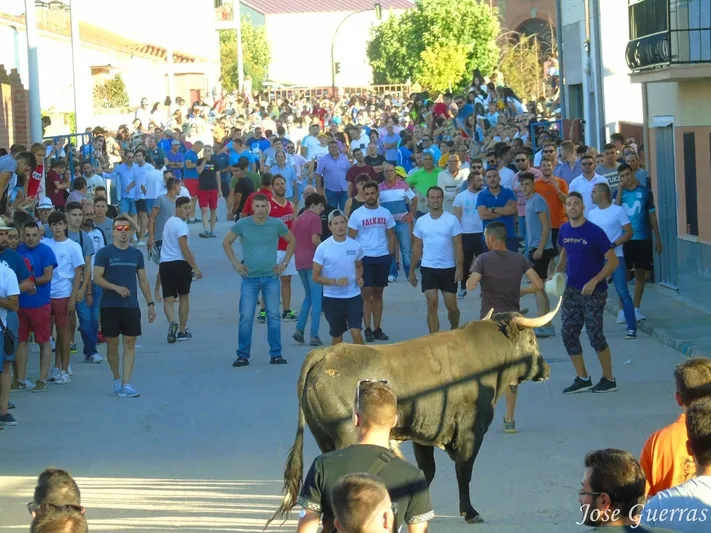 Foto 6 - Adrenalina y &lsquo;llenazo&rsquo; durante el primer Toro de Caj&oacute;n de Macotera