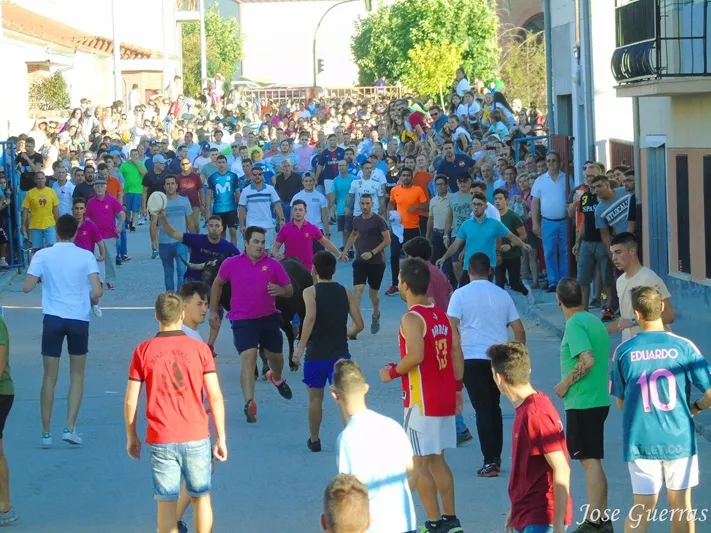 Foto 5 - Adrenalina y &lsquo;llenazo&rsquo; durante el primer Toro de Caj&oacute;n de Macotera