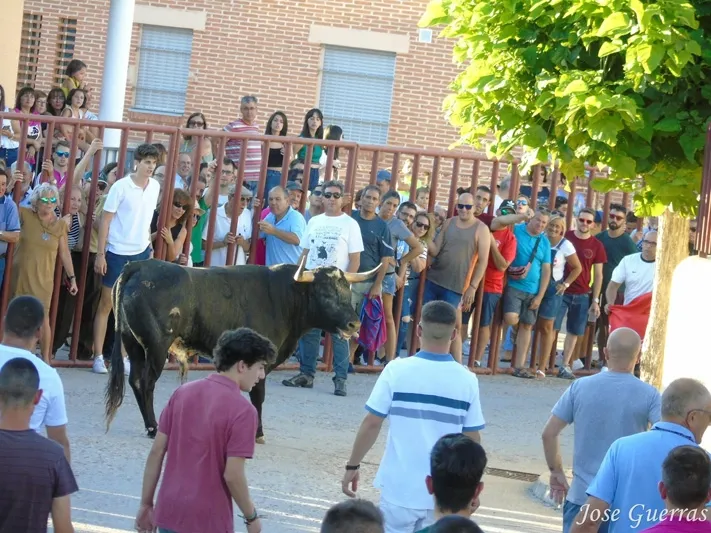 Foto 4 - Adrenalina y &lsquo;llenazo&rsquo; durante el primer Toro de Caj&oacute;n de Macotera