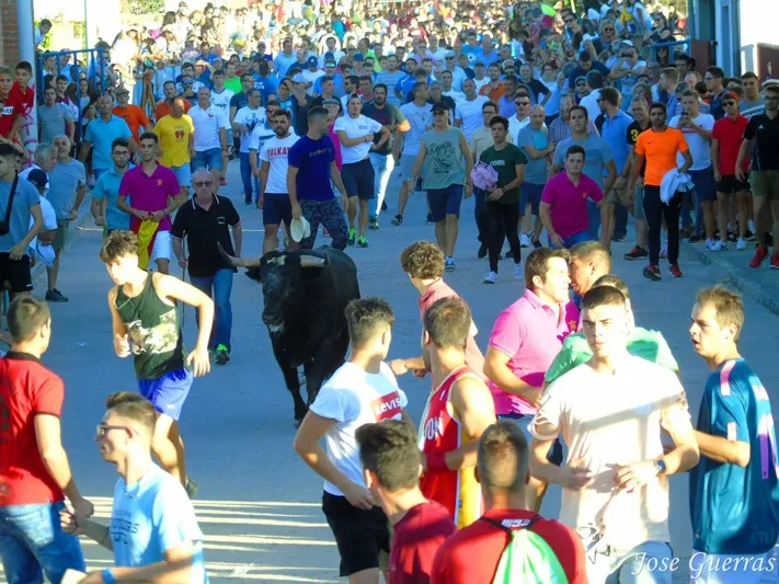 Foto 3 - Adrenalina y &lsquo;llenazo&rsquo; durante el primer Toro de Caj&oacute;n de Macotera