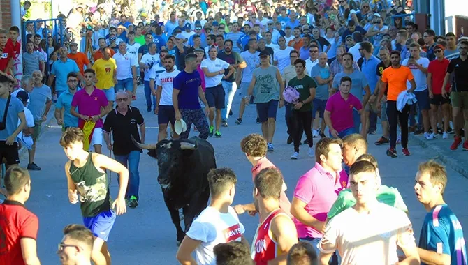 El I Toro de Cajón de Macotera congregaba a cientos de personas. Fotos: José Guerras