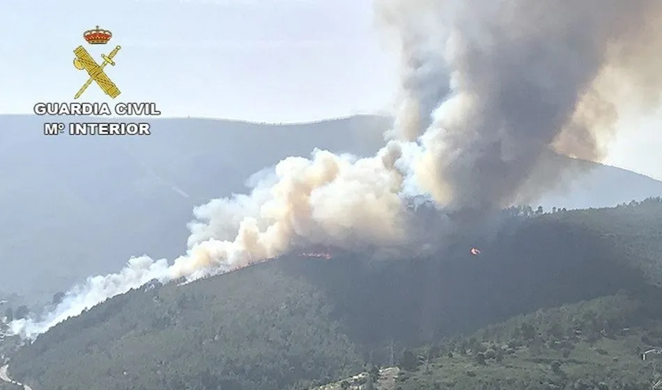 Detenidas nueve personas por provocar 11 incendios en seis provincias, entre ellas Ávila y León