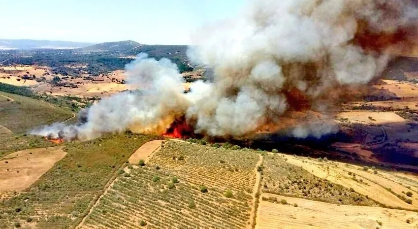 Las llamas se han originado a las 14.57 horas en una zona de matorral. @AT_BRIF