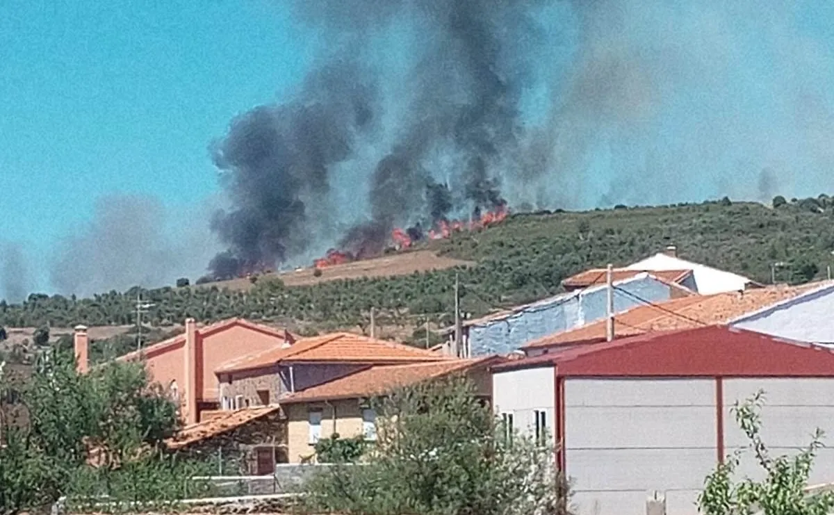 Foto 3 - Un incendio en la zona de las Serradillas que lleg&oacute; a ser declarado Nivel 1 calcina entre 60 y 70...