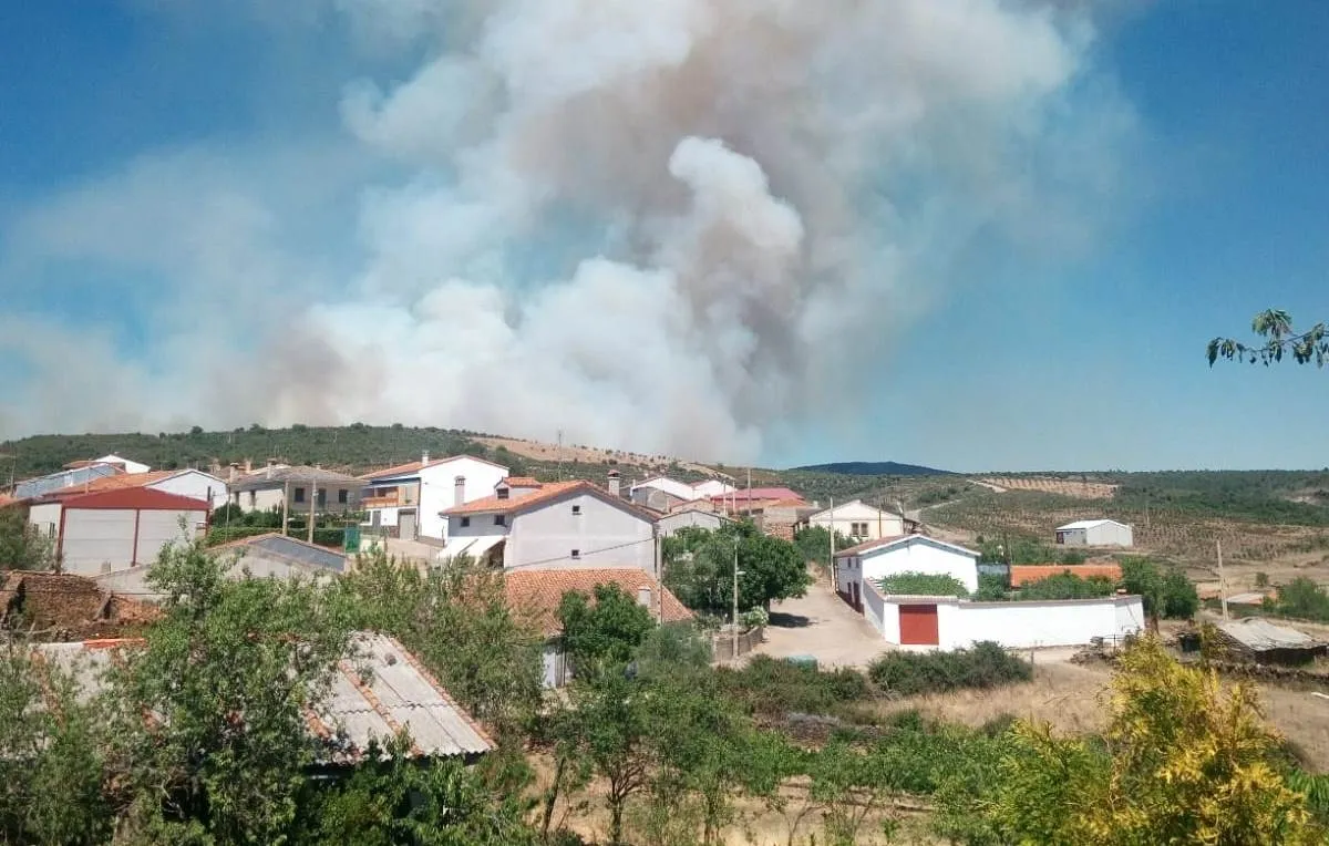 Foto 2 - Un incendio en la zona de las Serradillas que lleg&oacute; a ser declarado Nivel 1 calcina entre 60 y 70...