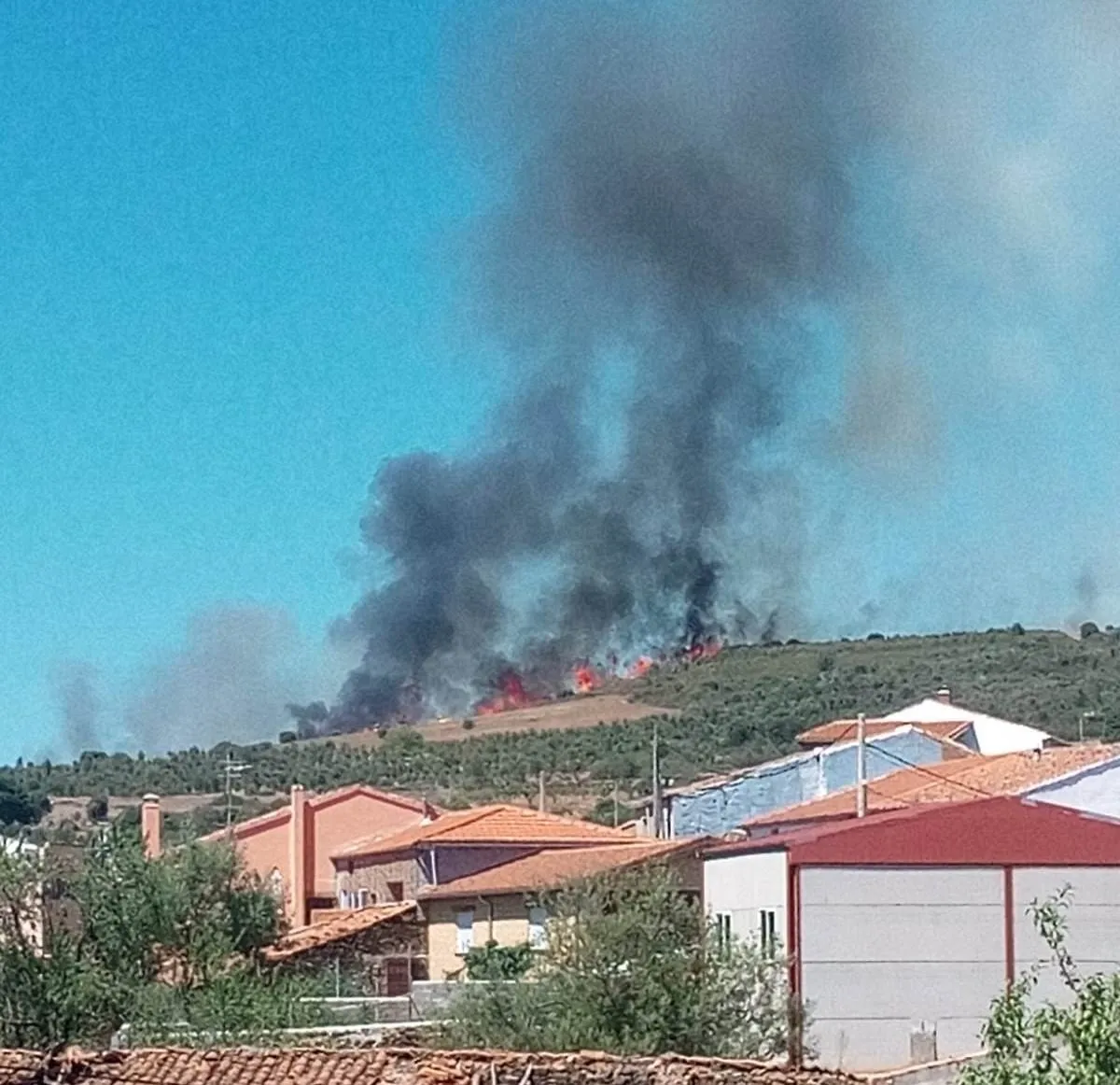 Foto 4 - Un incendio en la zona de las Serradillas que lleg&oacute; a ser declarado Nivel 1 calcina entre 60 y 70...