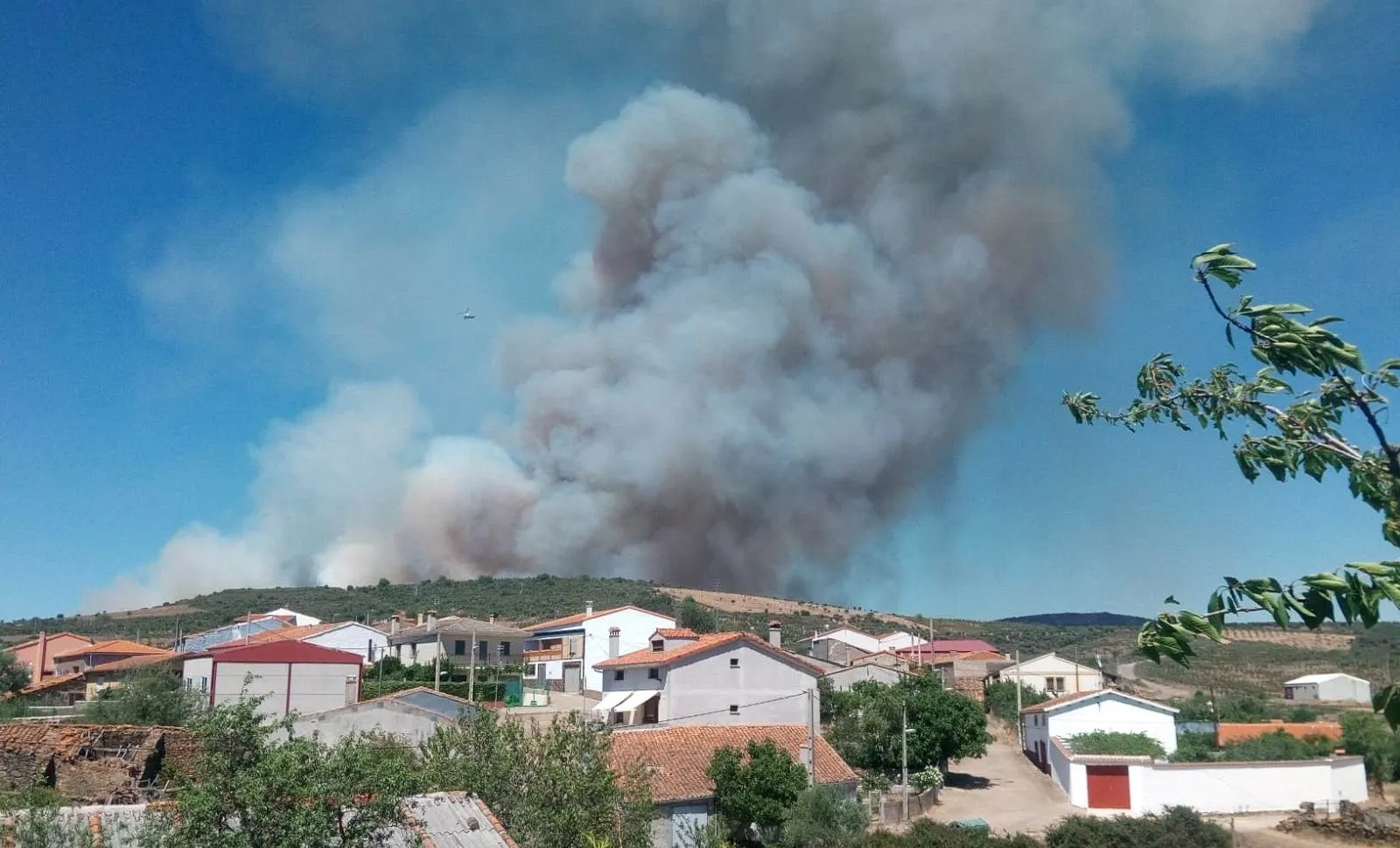 Foto 6 - Un incendio en la zona de las Serradillas que lleg&oacute; a ser declarado Nivel 1 calcina entre 60 y 70...