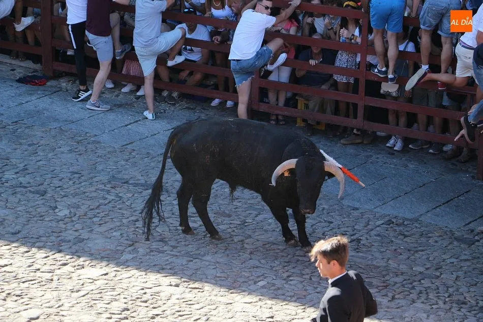 Foto 4 - La Alberca disfruta de una multitudinaria novillada