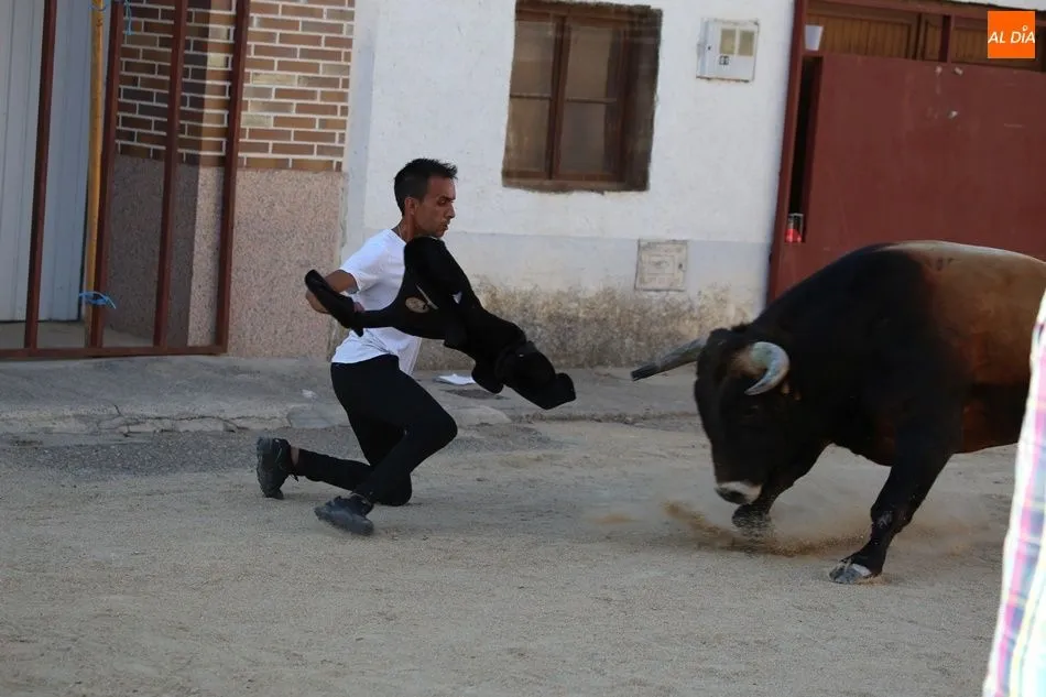 Foto 11 - La suelta de novillos de Babilafuente finaliza sin incidentes