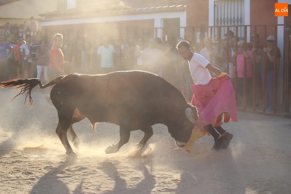 Foto 9 - La suelta de novillos de Babilafuente finaliza sin incidentes