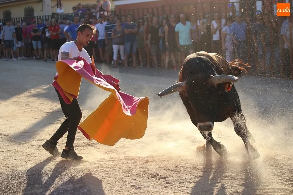 Foto 8 - La suelta de novillos de Babilafuente finaliza sin incidentes