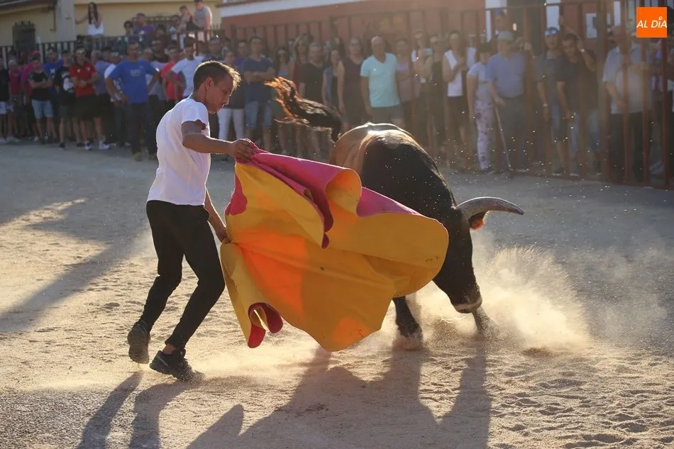 Foto 6 - La suelta de novillos de Babilafuente finaliza sin incidentes