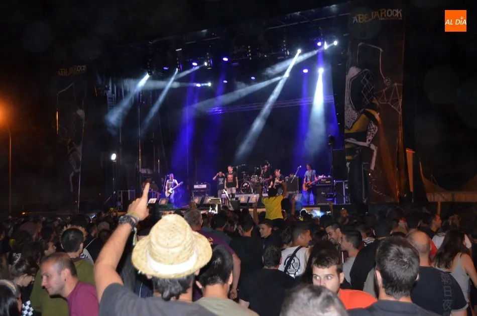 Foto 6 - Agotadas todas las entradas en el festival ben&eacute;fico Abejarock
