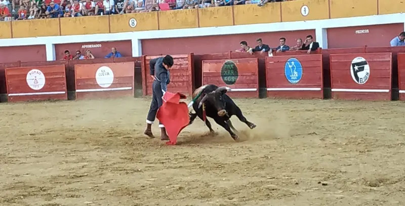 Foto 10 - Los novillos de &lsquo;Carreros&rsquo; lucen en diferenciadas faenas durante el exitoso Festival Taurino de ...