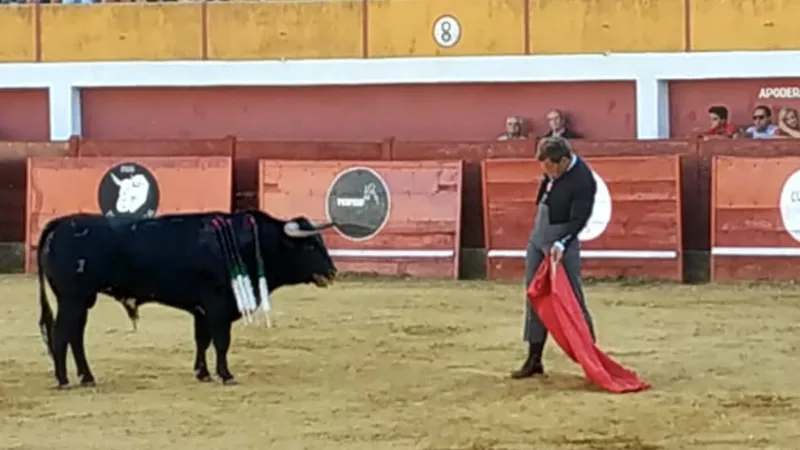 Foto 8 - Los novillos de &lsquo;Carreros&rsquo; lucen en diferenciadas faenas durante el exitoso Festival Taurino de ...