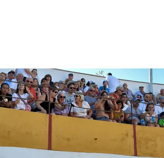 Foto 6 - Los novillos de &lsquo;Carreros&rsquo; lucen en diferenciadas faenas durante el exitoso Festival Taurino de ...