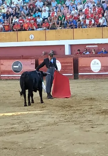 Foto 4 - Los novillos de &lsquo;Carreros&rsquo; lucen en diferenciadas faenas durante el exitoso Festival Taurino de ...