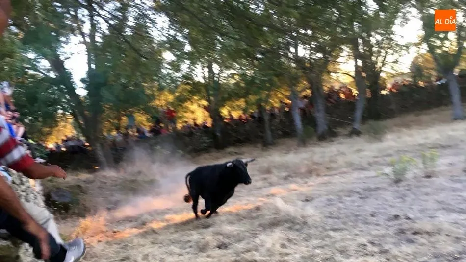 Foto 6 - Gran animaci&oacute;n en la noche del &lsquo;s&aacute;bado pre-fiestas&rsquo; de Toros de Lumbrales