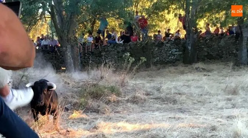 Foto 7 - Gran animaci&oacute;n en la noche del &lsquo;s&aacute;bado pre-fiestas&rsquo; de Toros de Lumbrales