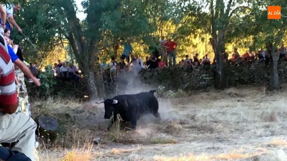 Foto 5 - Gran animaci&oacute;n en la noche del &lsquo;s&aacute;bado pre-fiestas&rsquo; de Toros de Lumbrales