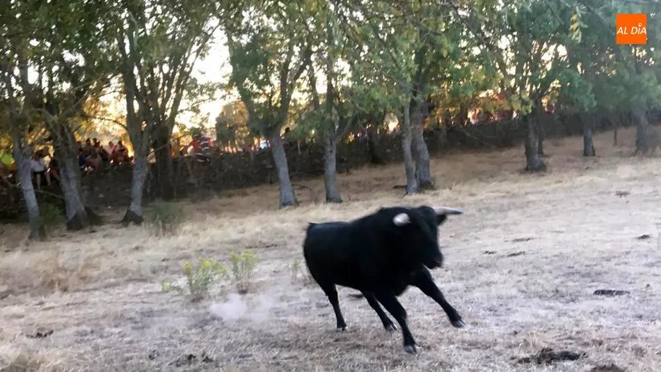 Foto 4 - Gran animaci&oacute;n en la noche del &lsquo;s&aacute;bado pre-fiestas&rsquo; de Toros de Lumbrales