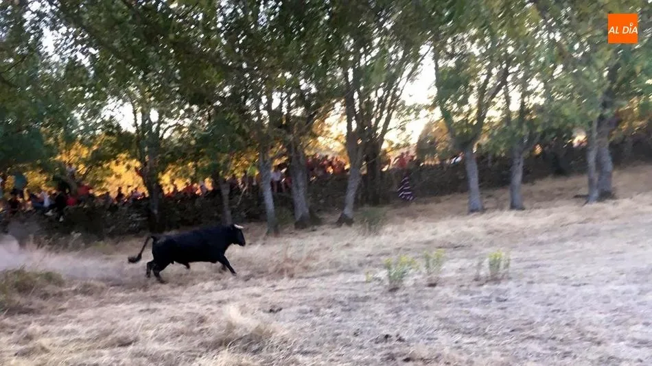 Foto 3 - Gran animaci&oacute;n en la noche del &lsquo;s&aacute;bado pre-fiestas&rsquo; de Toros de Lumbrales