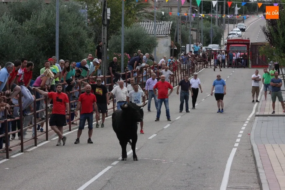 Foto 11 - Peligroso encierro de Valrubio en Villarino con al menos una persona herida