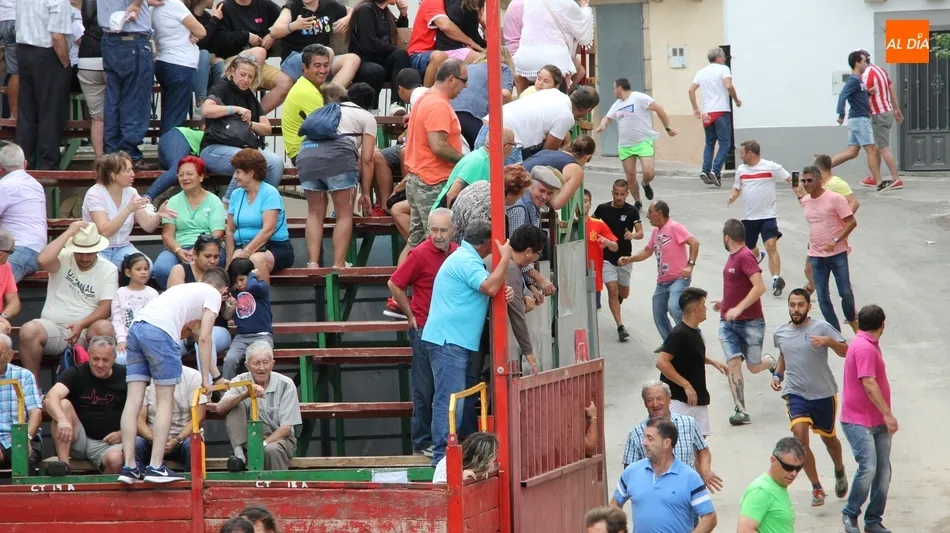 Foto 9 - Peligroso encierro de Valrubio en Villarino con al menos una persona herida