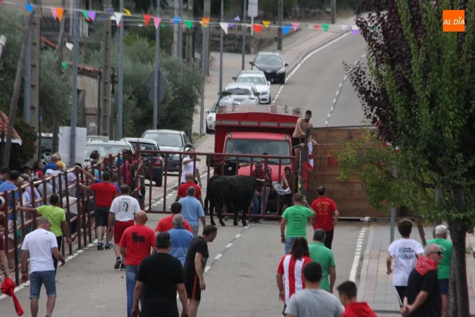 Foto 5 - Peligroso encierro de Valrubio en Villarino con al menos una persona herida
