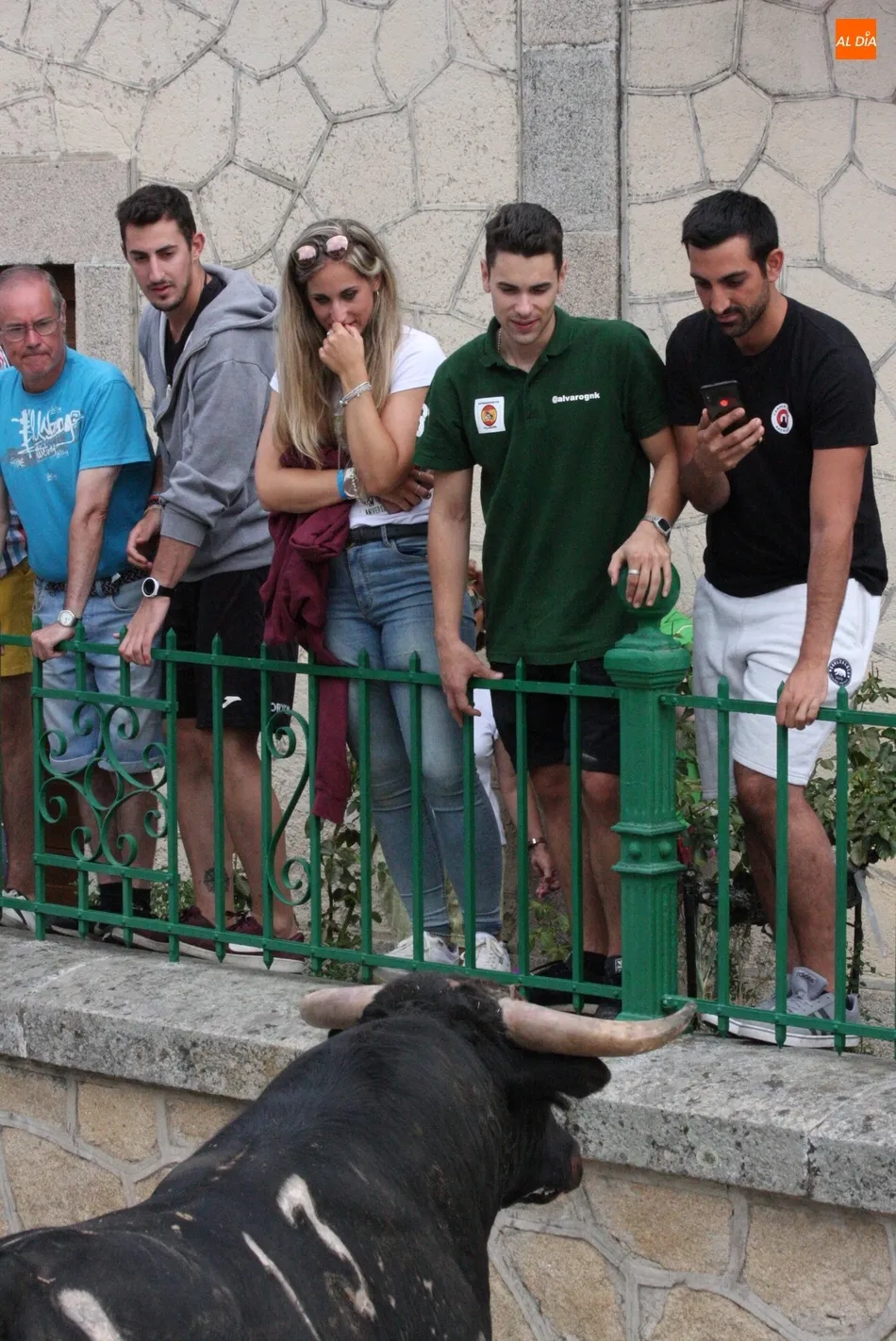 Foto 8 - Peligroso encierro de Valrubio en Villarino con al menos una persona herida