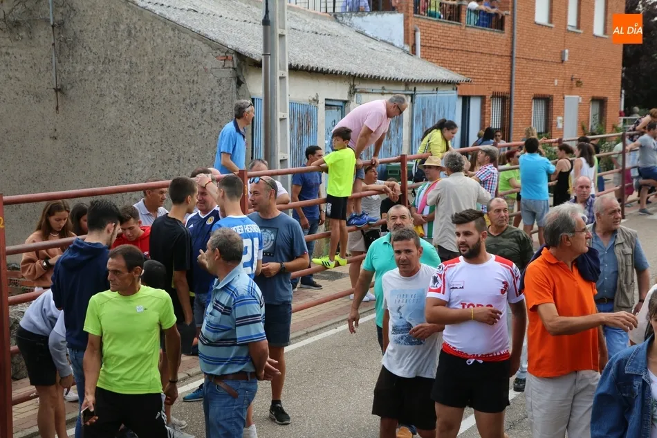 Foto 6 - Peligroso encierro de Valrubio en Villarino con al menos una persona herida