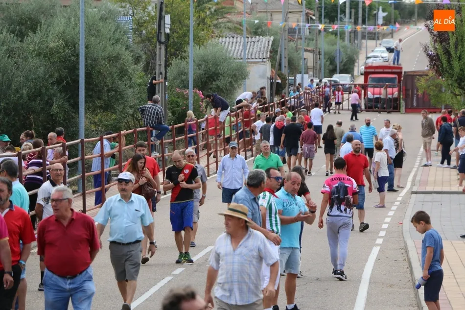 Foto 2 - Peligroso encierro de Valrubio en Villarino con al menos una persona herida