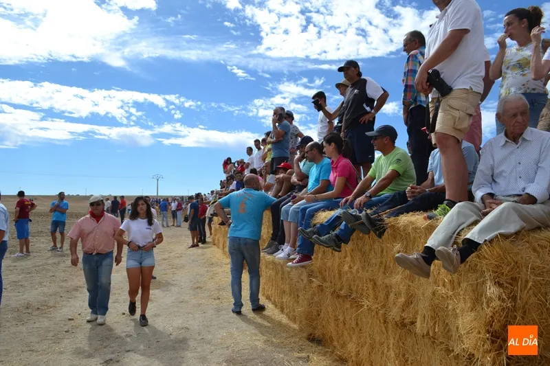 Foto 7 - Vibrante y dividido XIX Encierro a caballo de Macotera