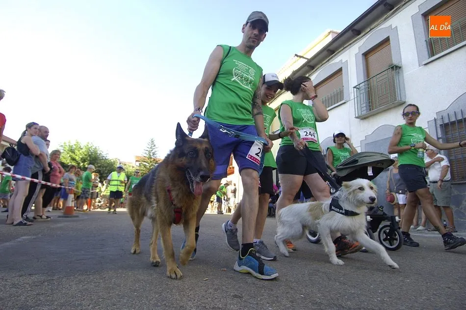 Foto 3 - Una marea verde ti&ntilde;e Martiago en la 8&ordf; Carrera Popular de la localidad  