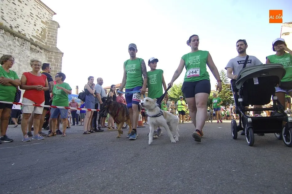 Foto 4 - Una marea verde ti&ntilde;e Martiago en la 8&ordf; Carrera Popular de la localidad  