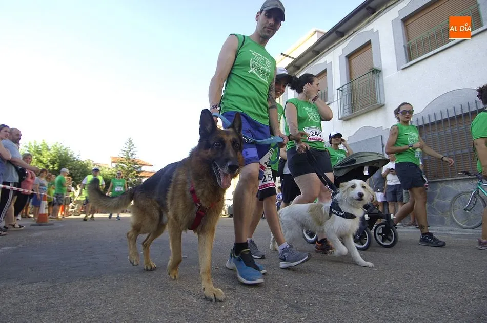 Foto 2 - Una marea verde ti&ntilde;e Martiago en la 8&ordf; Carrera Popular de la localidad  