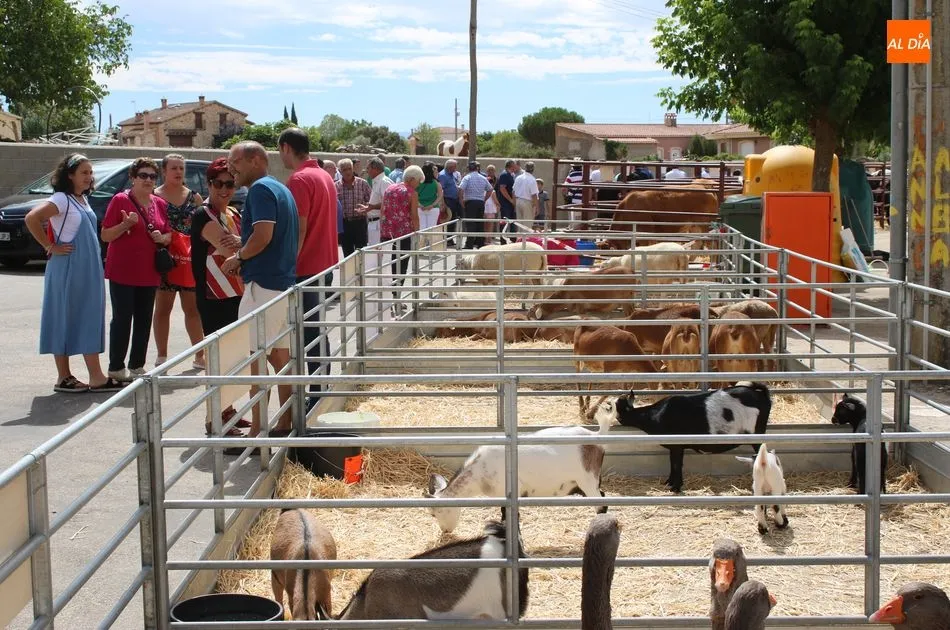 Foto 11 - Galinduste consolida su Feria Agroalimentaria y apuesta por la ganader&iacute;a