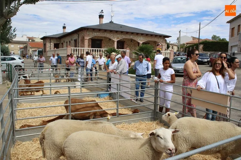 Foto 6 - Galinduste consolida su Feria Agroalimentaria y apuesta por la ganader&iacute;a